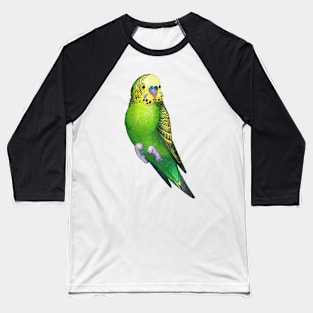 Cozy Budgie Baseball T-Shirt